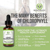 Liquid Chlorophyll Drops for Detox & Immunity